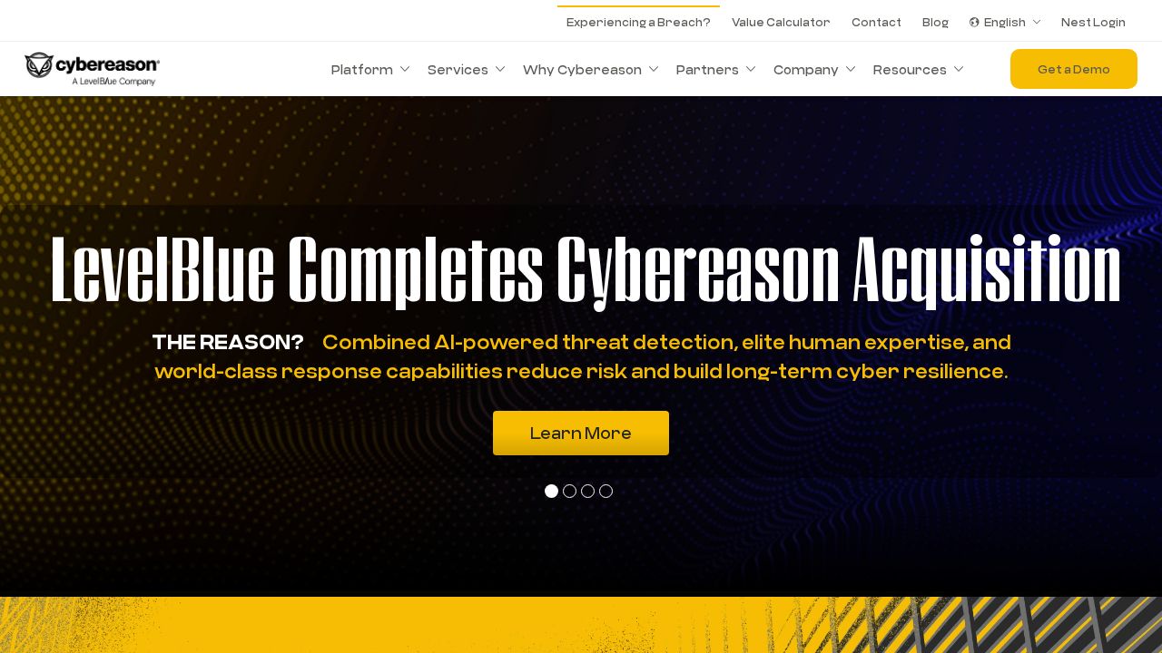 Cybereason screenshot