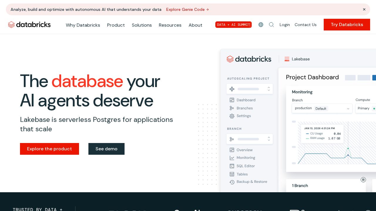 Databricks AI screenshot