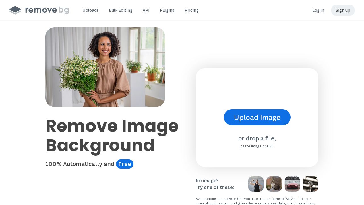 Removebg screenshot