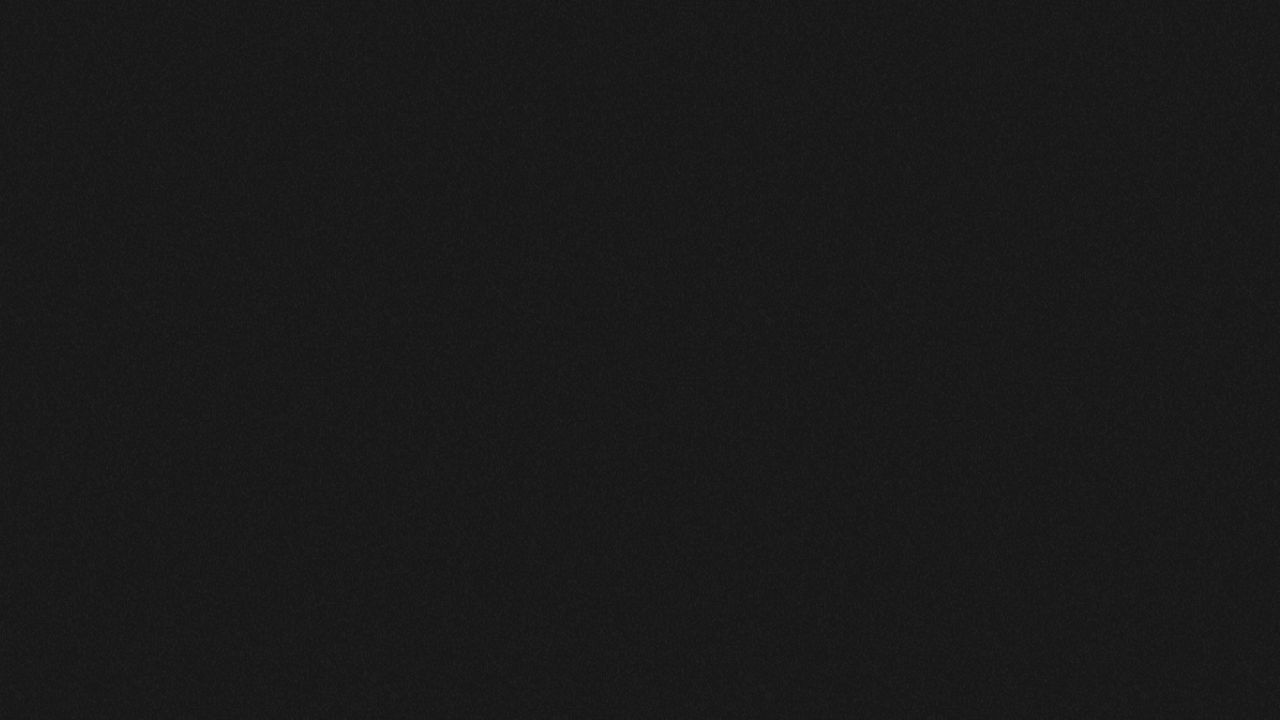 Vizcom screenshot